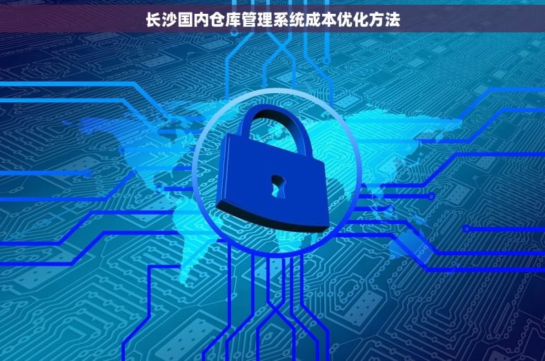 长沙国内仓库管理系统成本优化方法