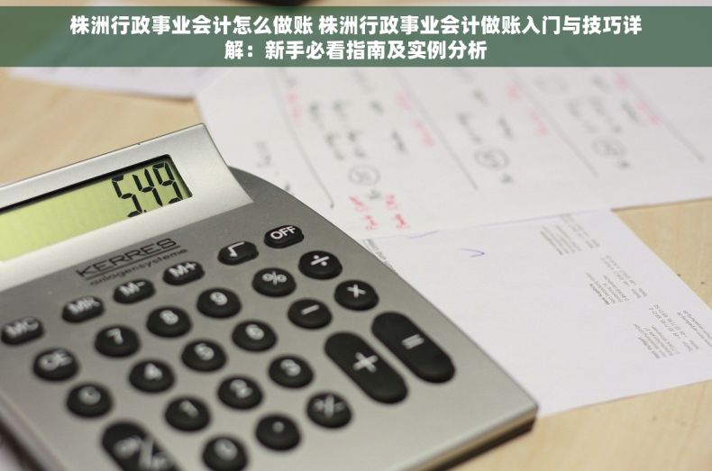 株洲行政事业会计怎么做账 株洲行政事业会计做账入门与技巧详解：新手必看指南及实例分析