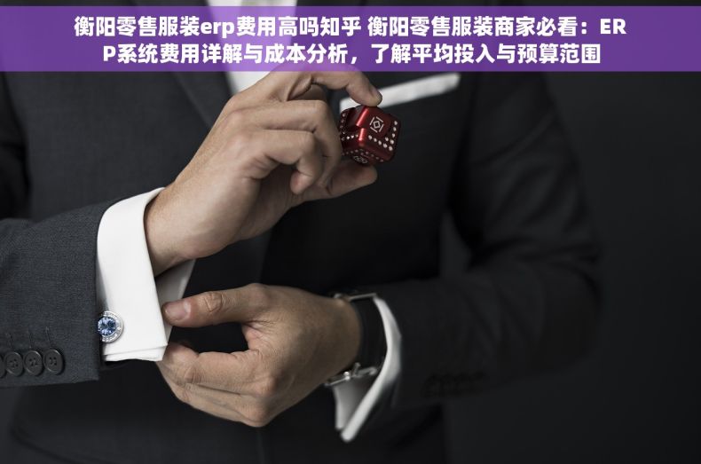 衡阳零售服装erp费用高吗知乎 衡阳零售服装商家必看：ERP系统费用详解与成本分析，了解平均投入与预算范围