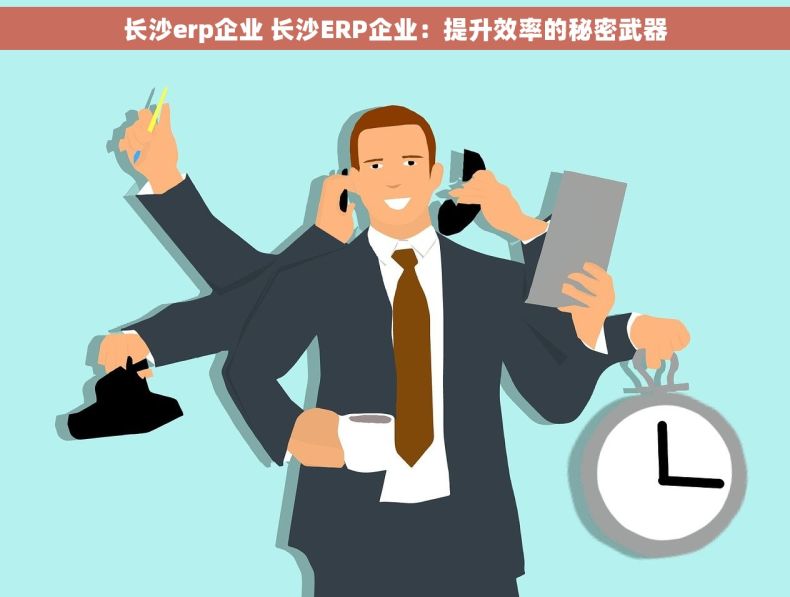 长沙erp企业 长沙ERP企业：提升效率的秘密武器