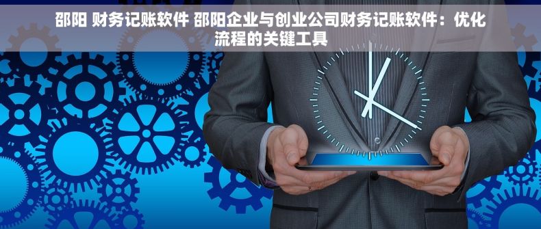 邵阳 财务记账软件 邵阳企业与创业公司财务记账软件：优化流程的关键工具