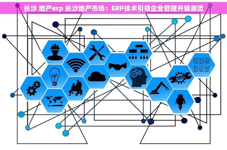 长沙 地产erp 长沙地产市场：ERP技术引领企业管理升级潮流