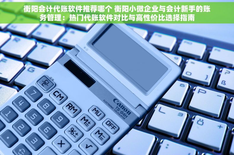 衡阳会计代账软件推荐哪个 衡阳小微企业与会计新手的账务管理：热门代账软件对比与高性价比选择指南