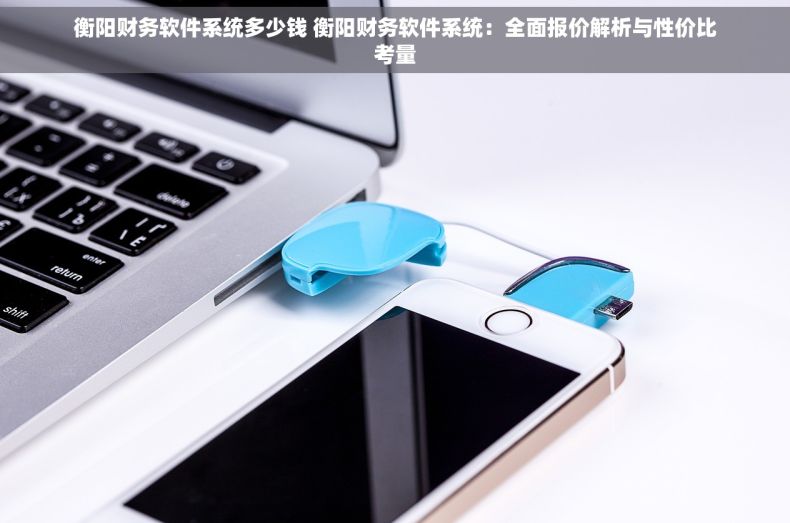 衡阳财务软件系统多少钱 衡阳财务软件系统：全面报价解析与性价比考量