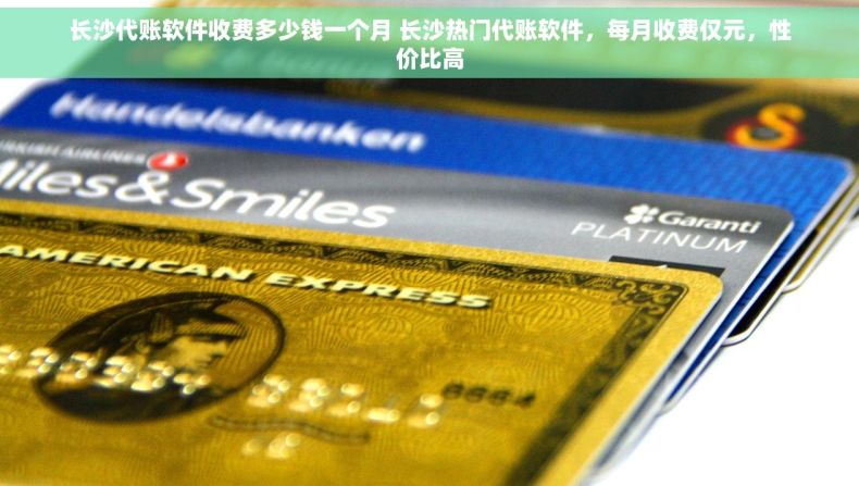 长沙代账软件收费多少钱一个月 长沙热门代账软件，每月收费仅元，性价比高