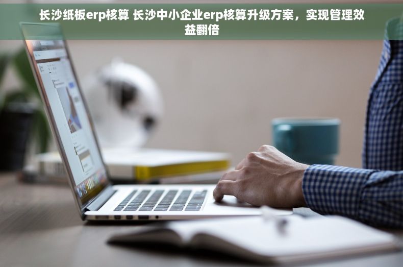 长沙纸板erp核算 长沙中小企业erp核算升级方案，实现管理效益翻倍