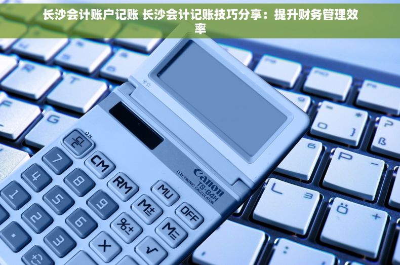 长沙会计账户记账 长沙会计记账技巧分享：提升财务管理效率