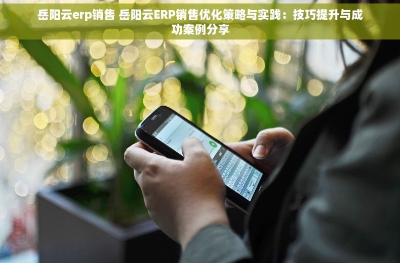 岳阳云erp销售 岳阳云ERP销售优化策略与实践：技巧提升与成功案例分享