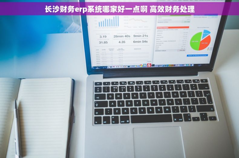 长沙财务erp系统哪家好一点啊 高效财务处理