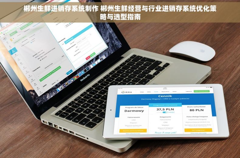 郴州生鲜进销存系统制作 郴州生鲜经营与行业进销存系统优化策略与选型指南