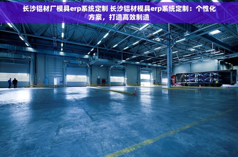 长沙铝材厂模具erp系统定制 长沙铝材模具erp系统定制：个性化方案，打造高效制造