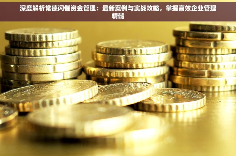 深度解析常德闪催资金管理：最新案例与实战攻略，掌握高效企业管理精髓