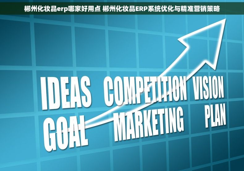 郴州化妆品erp哪家好用点 郴州化妆品ERP系统优化与精准营销策略