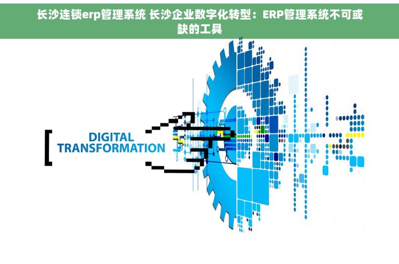 长沙连锁erp管理系统 长沙企业数字化转型：ERP管理系统不可或缺的工具