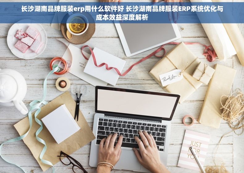 长沙湖南品牌服装erp用什么软件好 长沙湖南品牌服装ERP系统优化与成本效益深度解析