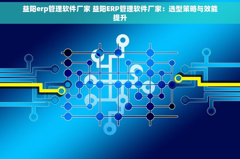 益阳erp管理软件厂家 益阳ERP管理软件厂家：选型策略与效能提升