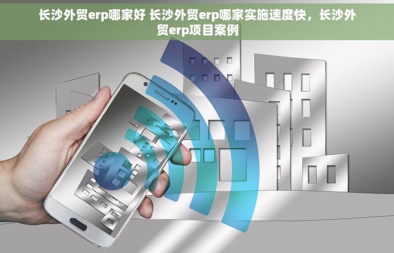 长沙外贸erp哪家好 长沙外贸erp哪家实施速度快，长沙外贸erp项目案例