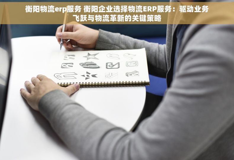 衡阳物流erp服务 衡阳企业选择物流ERP服务：驱动业务飞跃与物流革新的关键策略