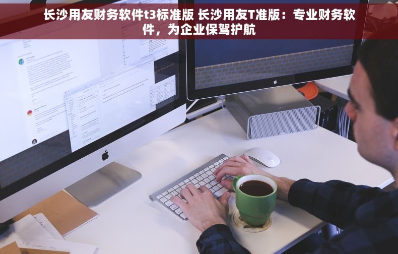 长沙用友财务软件t3标准版 长沙用友T准版：专业财务软件，为企业保驾护航