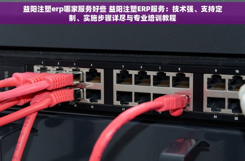 益阳注塑erp哪家服务好些 益阳注塑ERP服务：技术强、支持定制、实施步骤详尽与专业培训教程