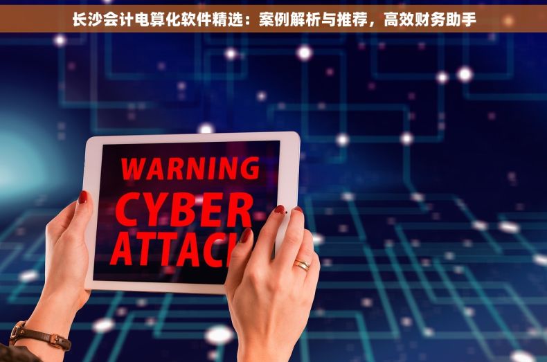 长沙会计电算化软件精选：案例解析与推荐，高效财务助手