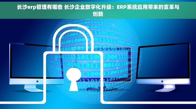 长沙erp管理有哪些 长沙企业数字化升级：ERP系统应用带来的变革与创新