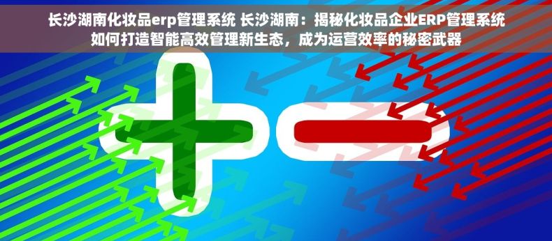 长沙湖南化妆品erp管理系统 长沙湖南：揭秘化妆品企业ERP管理系统如何打造智能高效管理新生态，成为运营效率的秘密武器