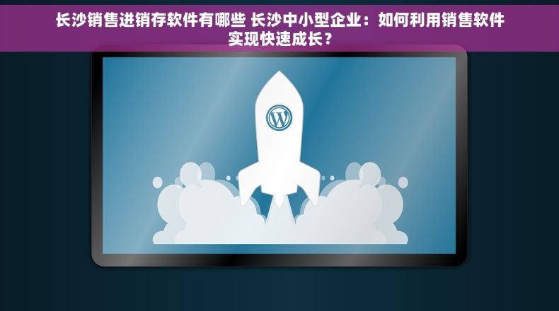 长沙销售进销存软件有哪些 长沙中小型企业：如何利用销售软件实现快速成长？