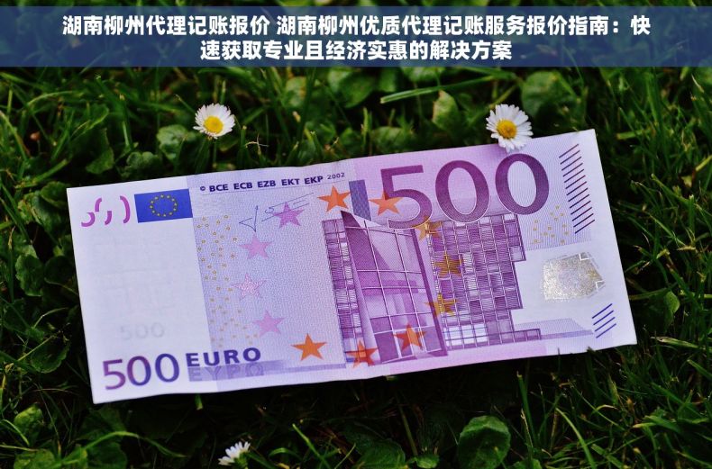 湖南柳州代理记账报价 湖南柳州优质代理记账服务报价指南：快速获取专业且经济实惠的解决方案