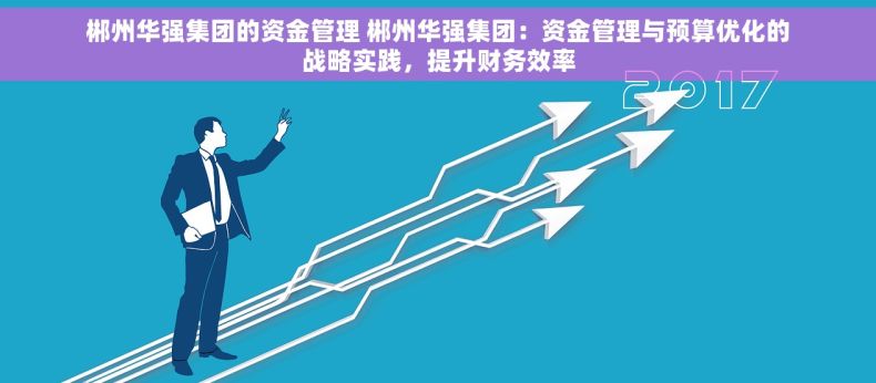 郴州华强集团的资金管理 郴州华强集团：资金管理与预算优化的战略实践，提升财务效率