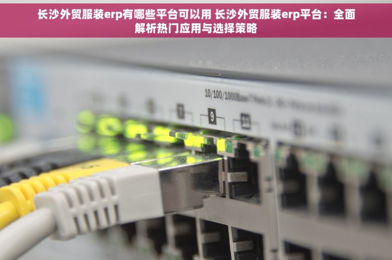 长沙外贸服装erp有哪些平台可以用 长沙外贸服装erp平台：全面解析热门应用与选择策略