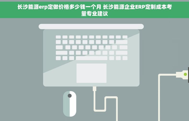 长沙能源erp定做价格多少钱一个月 长沙能源企业ERP定制成本考量专业建议