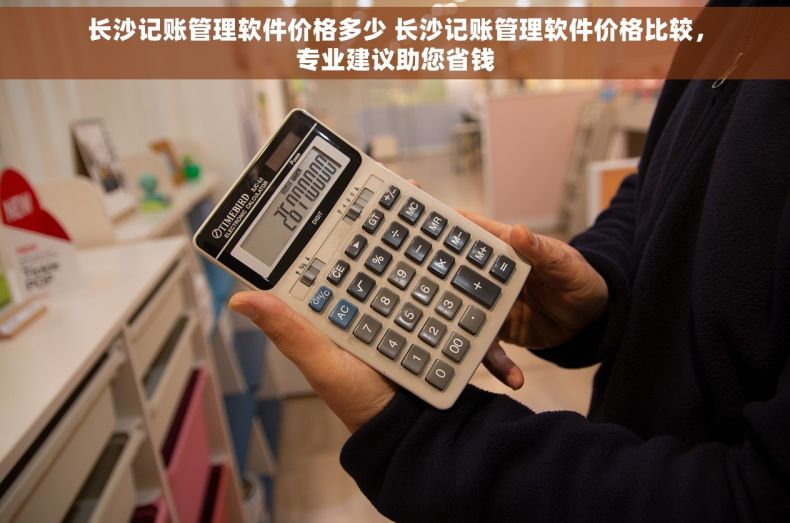 长沙记账管理软件价格多少 长沙记账管理软件价格比较，专业建议助您省钱
