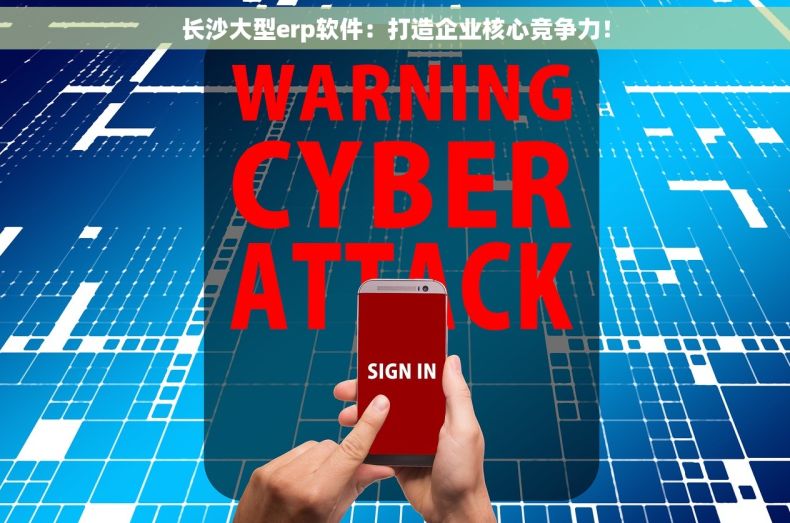 长沙大型erp软件：打造企业核心竞争力！