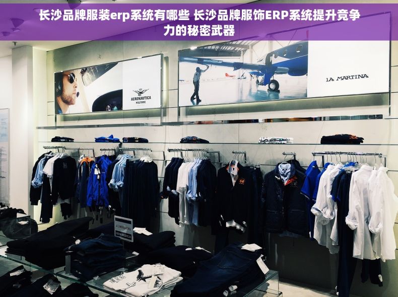 长沙品牌服装erp系统有哪些 长沙品牌服饰ERP系统提升竞争力的秘密武器
