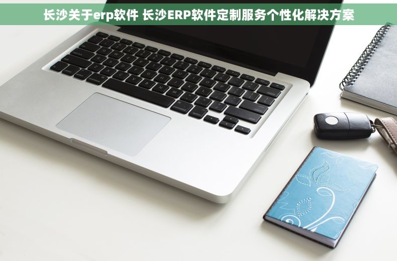 长沙关于erp软件 长沙ERP软件定制服务个性化解决方案