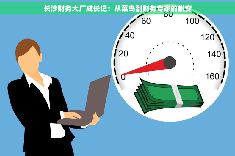 长沙财务大厂成长记：从菜鸟到财务专家的蜕变