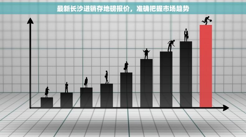 最新长沙进销存地磅报价，准确把握市场趋势