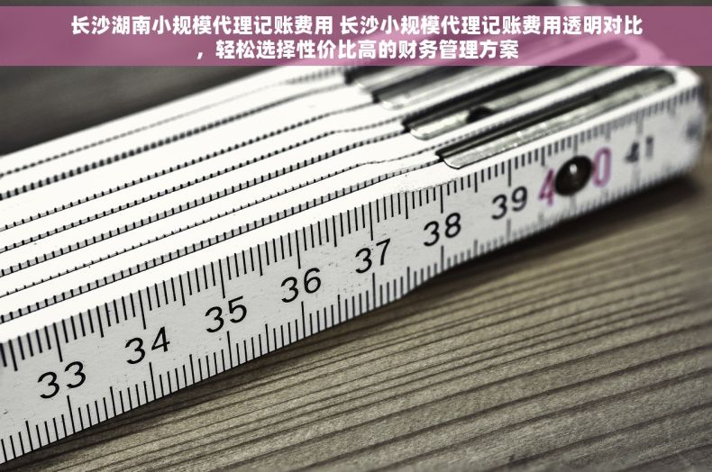 长沙湖南小规模代理记账费用 长沙小规模代理记账费用透明对比，轻松选择性价比高的财务管理方案