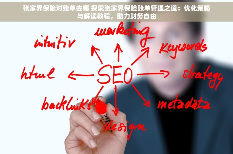 张家界保险对账单去哪 探索张家界保险账单管理之道：优化策略与解读教程，助力财务自由