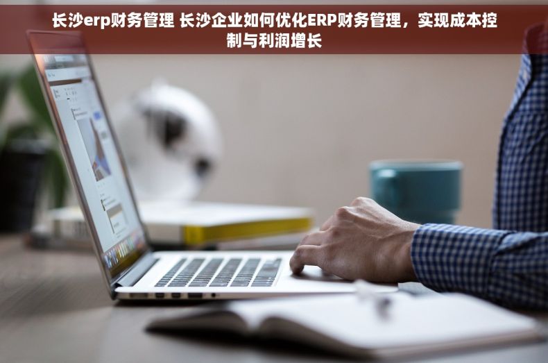 长沙erp财务管理 长沙企业如何优化ERP财务管理，实现成本控制与利润增长