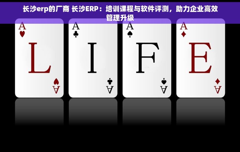 长沙erp的厂商 长沙ERP：培训课程与软件评测，助力企业高效管理升级