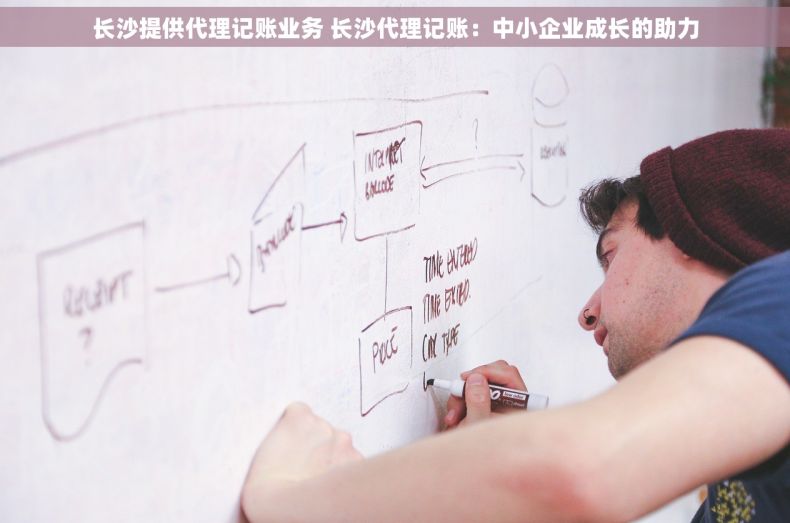 长沙提供代理记账业务 长沙代理记账：中小企业成长的助力