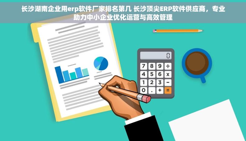 长沙湖南企业用erp软件厂家排名第几 长沙顶尖ERP软件供应商，专业助力中小企业优化运营与高效管理