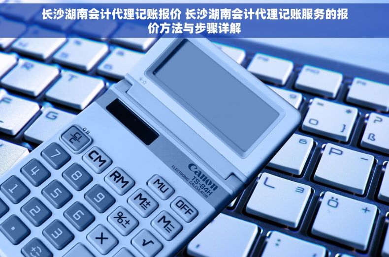 长沙湖南会计代理记账报价 长沙湖南会计代理记账服务的报价方法与步骤详解