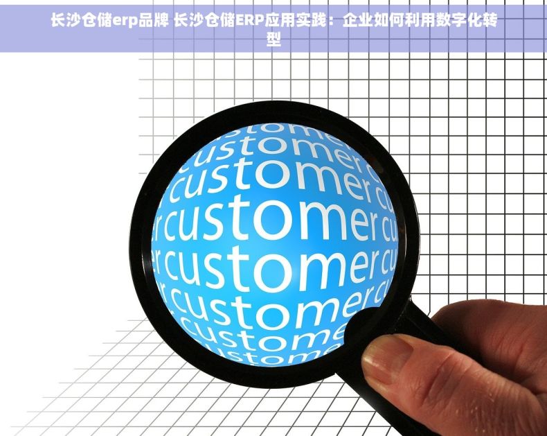 长沙仓储erp品牌 长沙仓储ERP应用实践：企业如何利用数字化转型