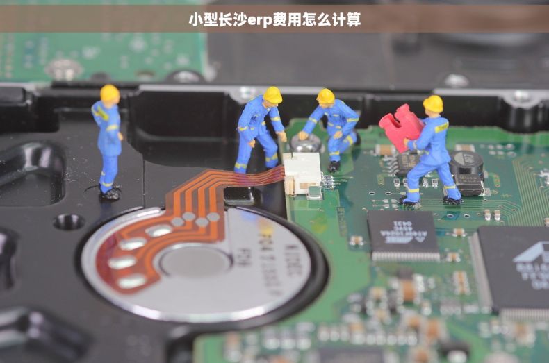 小型长沙erp费用怎么计算
