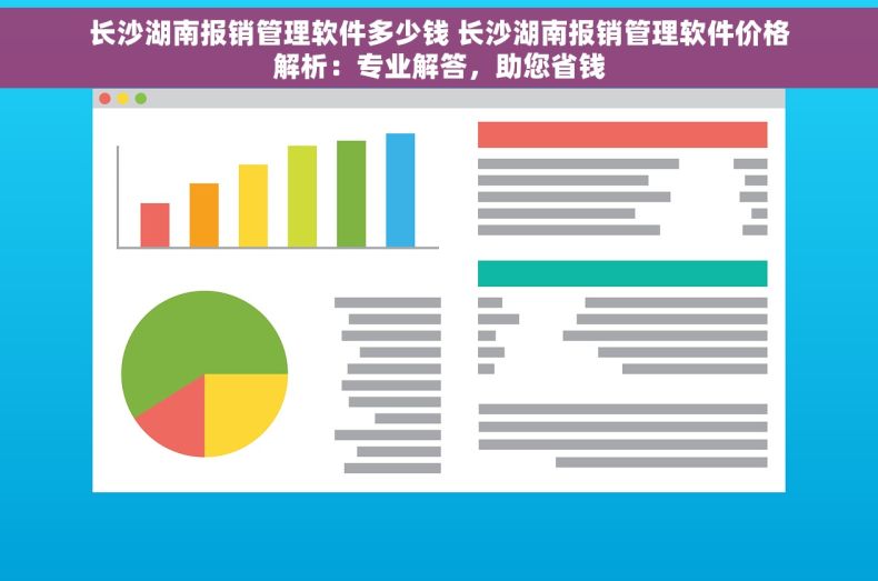 长沙湖南报销管理软件多少钱 长沙湖南报销管理软件价格解析：专业解答，助您省钱