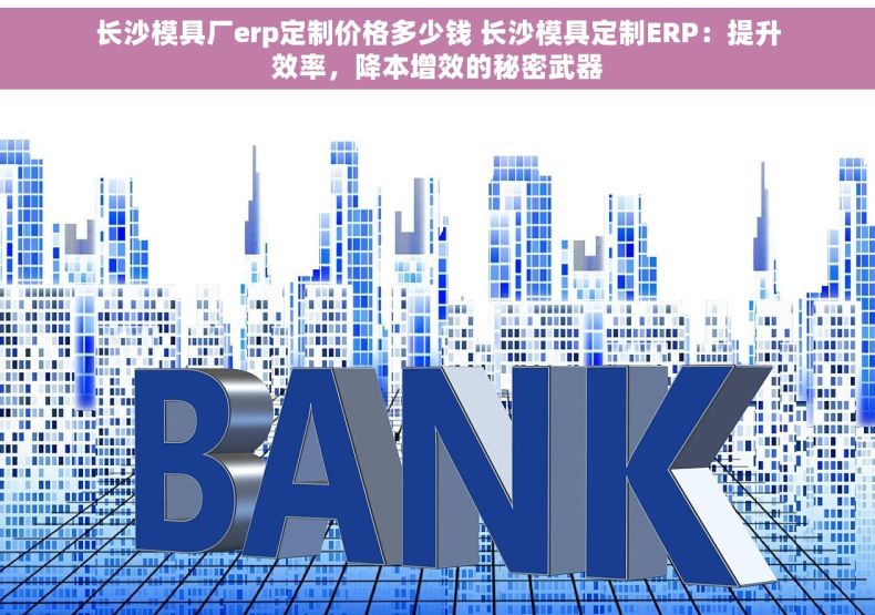 长沙模具厂erp定制价格多少钱 长沙模具定制ERP：提升效率，降本增效的秘密武器