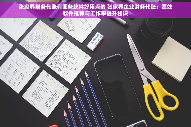 张家界财务代账有哪些软件好用点的 张家界企业财务代账：高效软件推荐与工作率提升秘诀